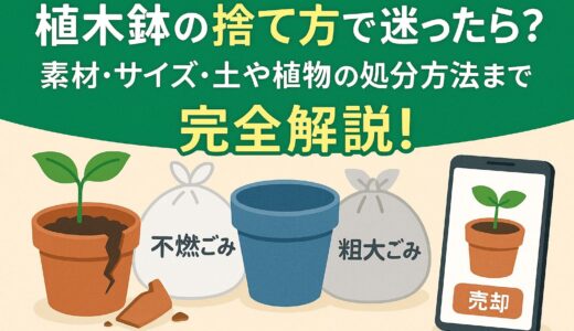 植木鉢の捨て方7選！無料で捨てる方法や土・植物の処分方法も解説